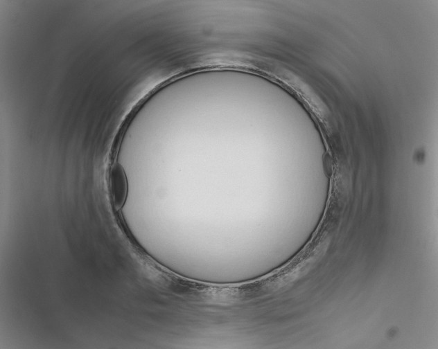 X0000116660893201001251215
