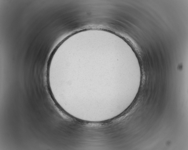 X0000116660894201001251215