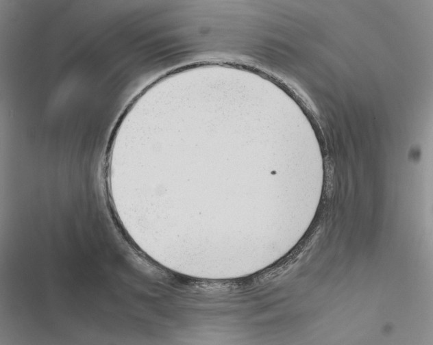 X0000116660895201001251215
