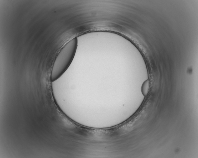 X0000116660897201001251215
