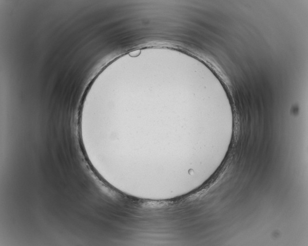X0000116660898201001251215