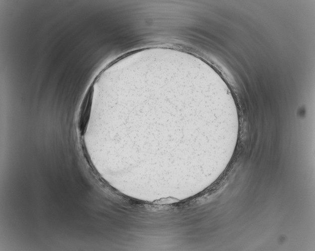 X0000116660899201001251215