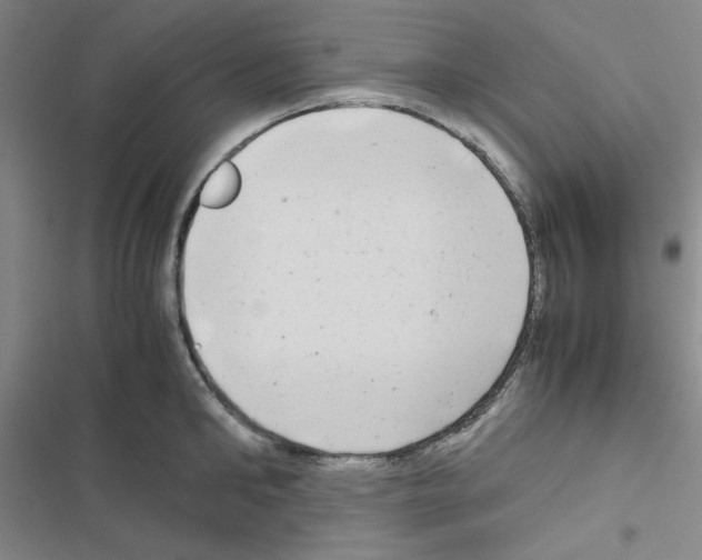 X0000116660902201001251215
