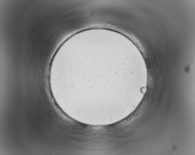 X0000116660903201001251215