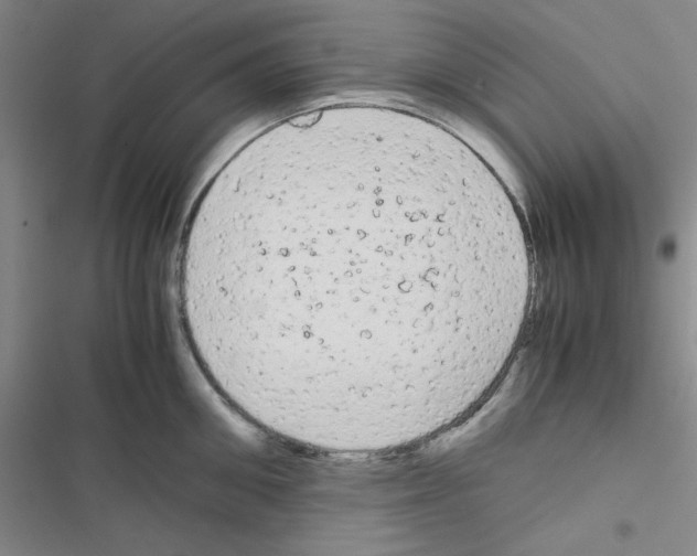 X0000116660906201001251215