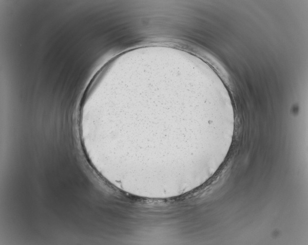 X0000116660907201001251215