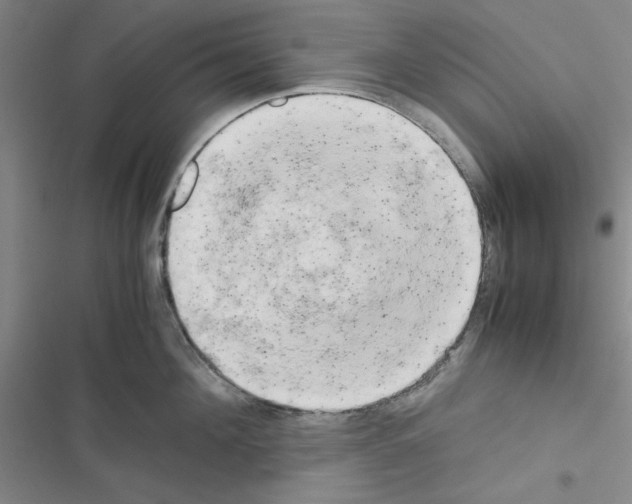 X0000116660908201001251215