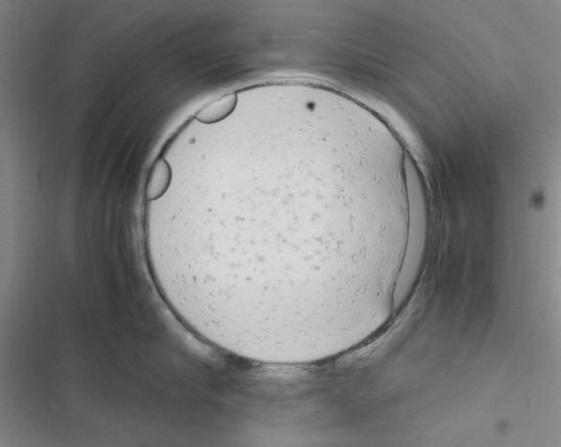 X0000116660910201001251215