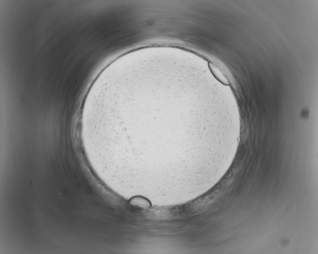 X0000116660911201001251215