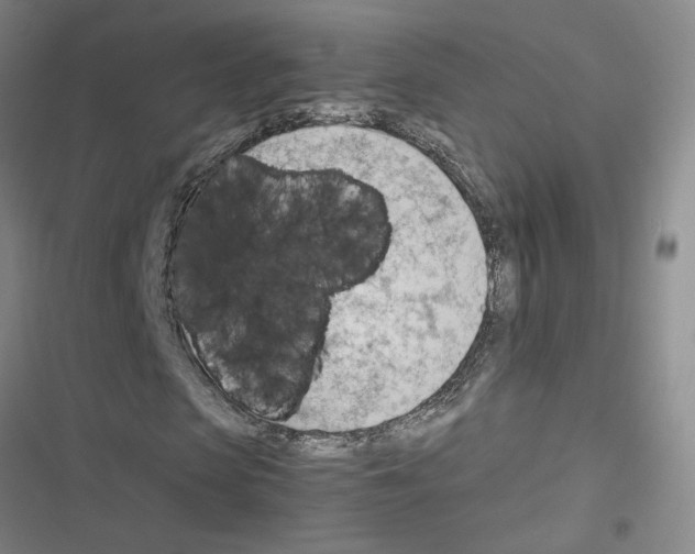 X0000116660913201001251214