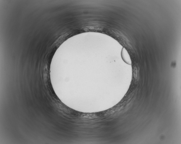 X0000116660915201001251214