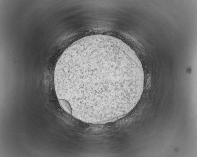 X0000116660917201001251214