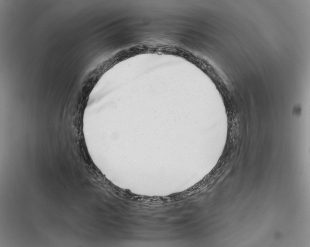 X0000116660919201001251214