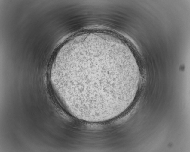 X0000116660921201001251214