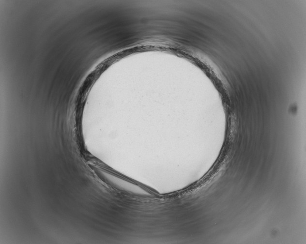 X0000116660923201001251214