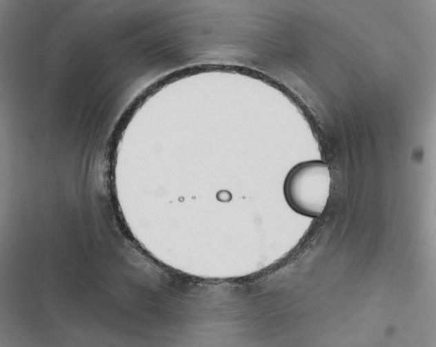 X0000116660926201001251214
