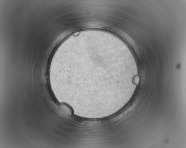 X0000116660930201001251215