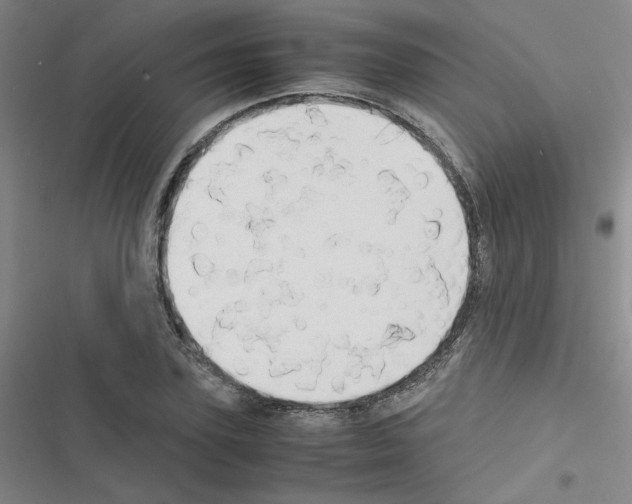 X0000116660931201001251215