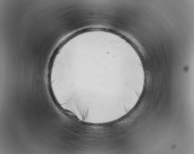 X0000116660935201001251215