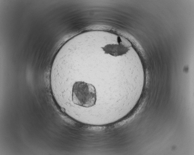 X0000116660937201001251215