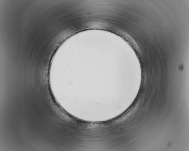 X0000116660938201001251215