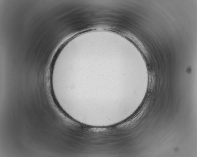 X0000116660939201001251215