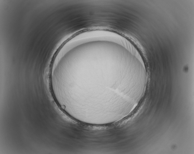 X0000116660941201001251215
