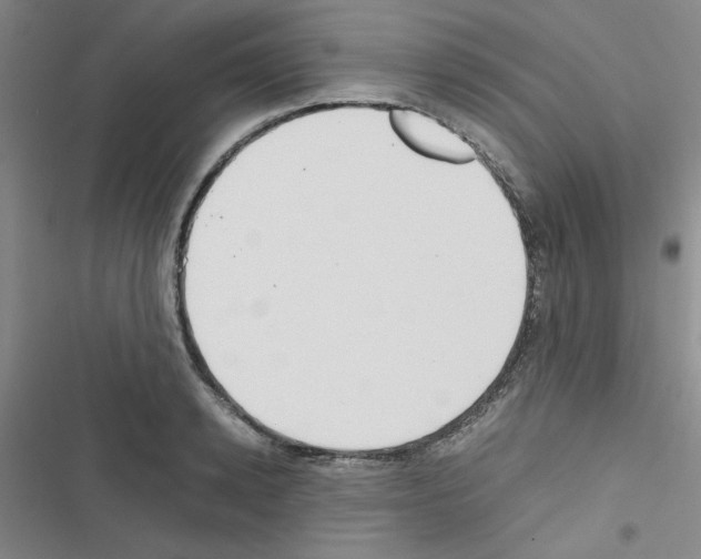 X0000116660942201001251215