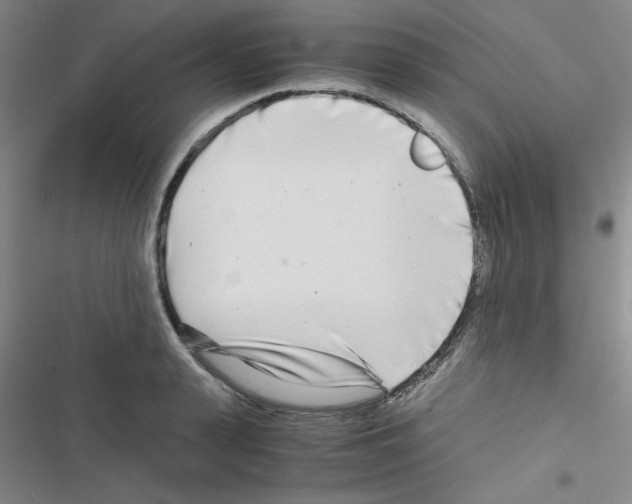 X0000116660943201001251215