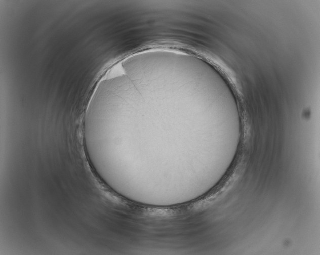 X0000116660945201001251215
