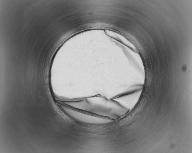X0000116660946201001251215