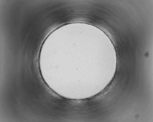 X0000116660949201001251215