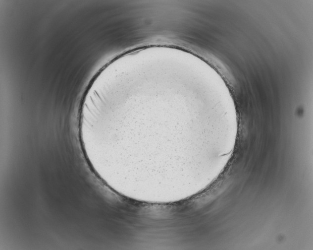 X0000116660950201001251215