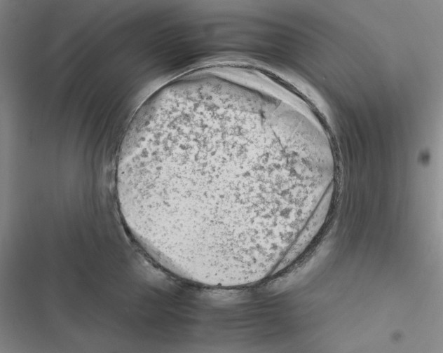 X0000116660953201001251215