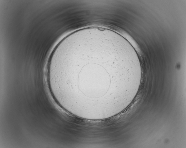 X0000116660955201001251215