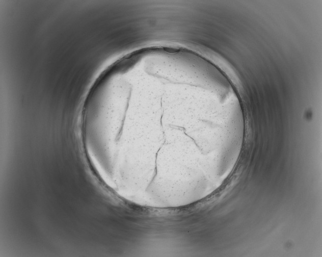 X0000116660958201001251215