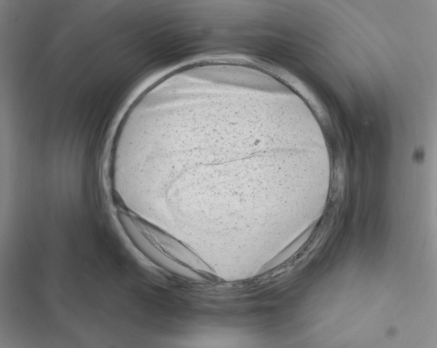 X0000116660959201001251215