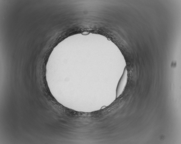 X0000116660961201001251214