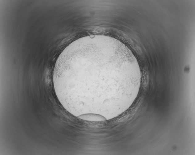 X0000116660962201001251214