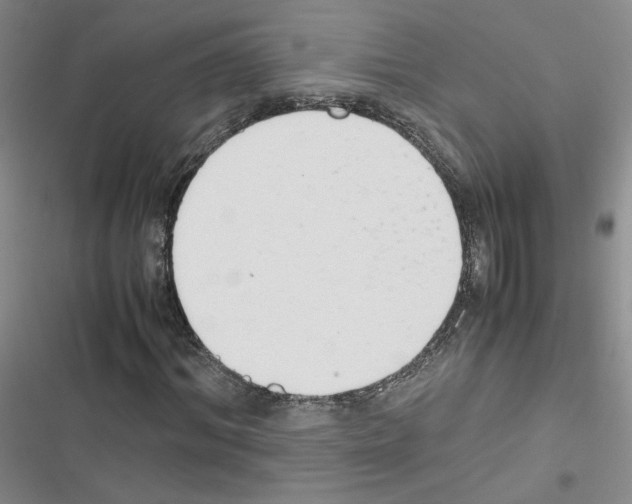 X0000116660964201001251214