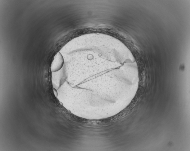X0000116660966201001251214