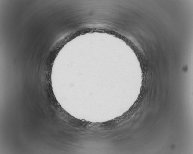 X0000116660967201001251214