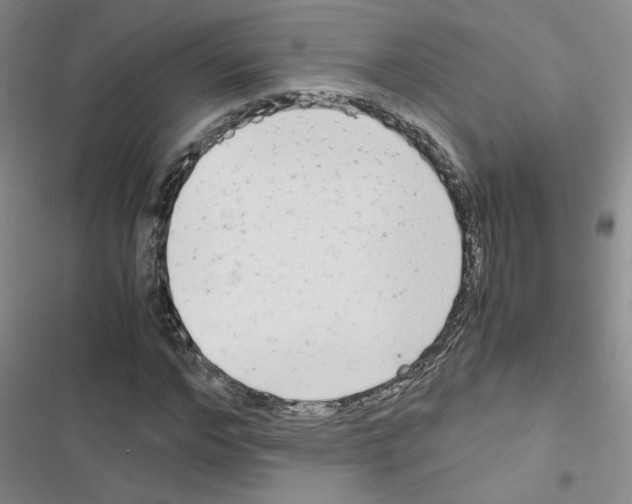 X0000116660968201001251214
