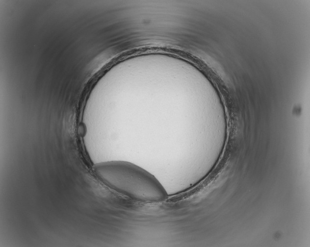 X0000116660969201001251214