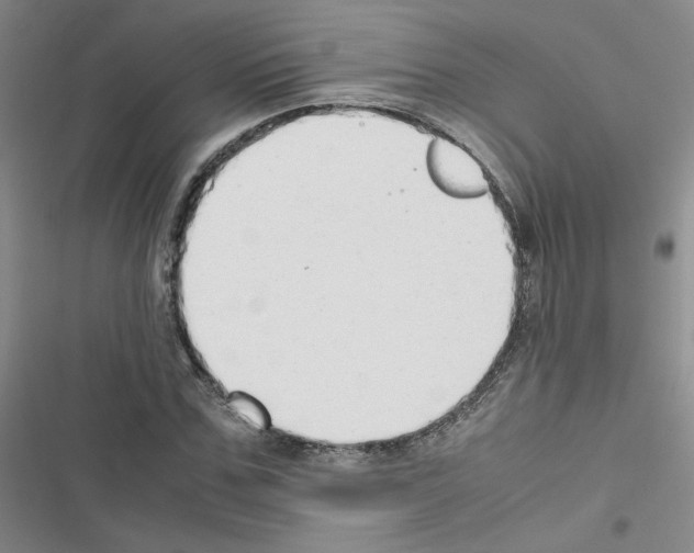 X0000116660971201001251214