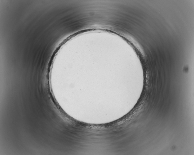 X0000116660972201001251214