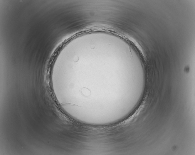 X0000116660973201001251214