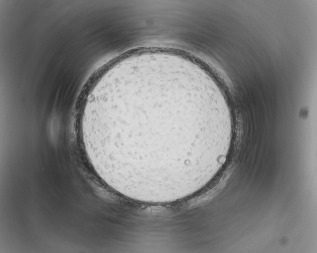 X0000116660974201001251214