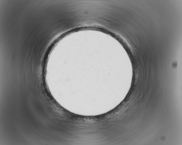 X0000116660975201001251214