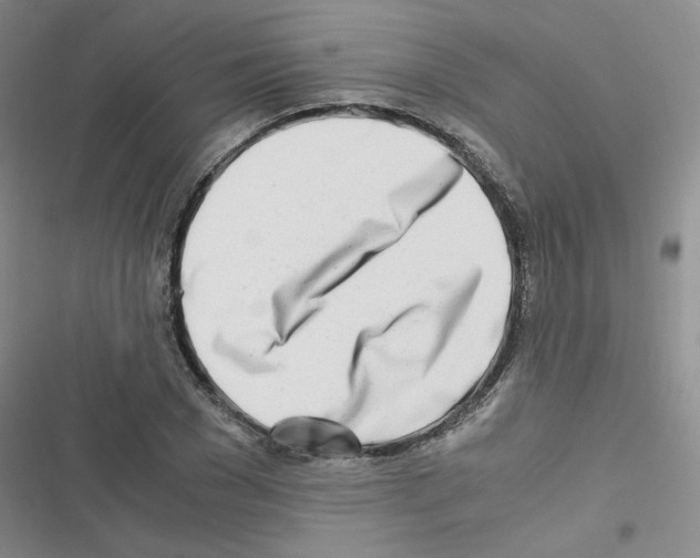 X0000116660977201001251214